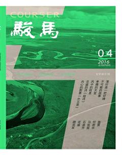 骏马2016年4期