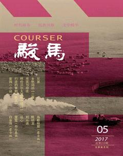 骏马2017年5期