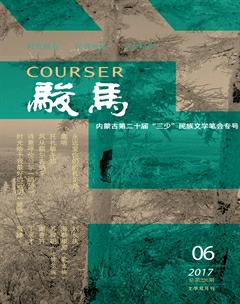 骏马2017年6期