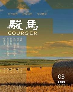 骏马2019年3期