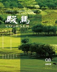 骏马2019年8期