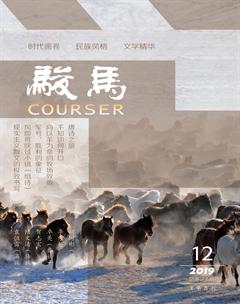 骏马2019年12期