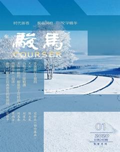 骏马2020年1期