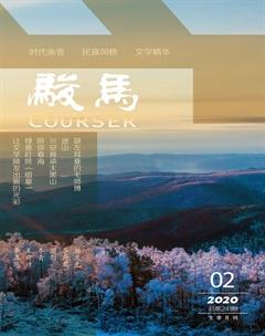 骏马2020年2期