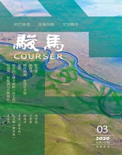 骏马2020年3期