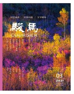 骏马2021年3期