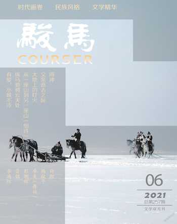 骏马2021年6期