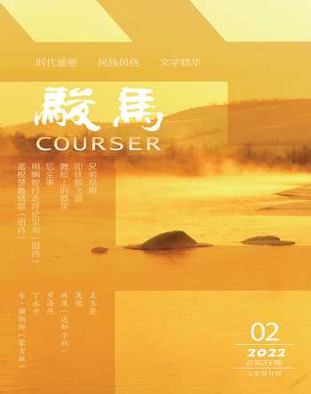 骏马2022年2期