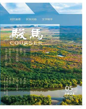 骏马2022年5期