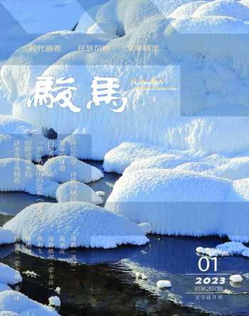 骏马2023年1期
