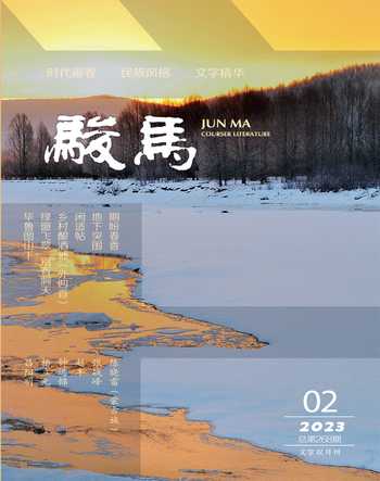 骏马2023年2期