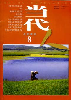 当代人2006年8期