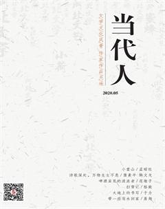 当代人2020年5期