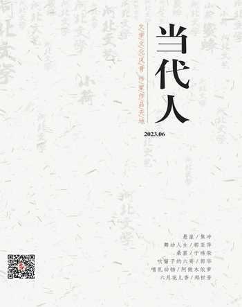 当代人2023年6期