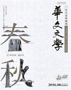 华文文学2016年6期