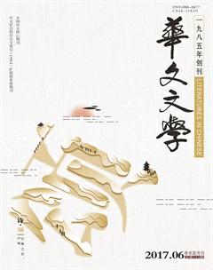 华文文学2017年6期