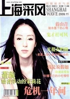 上海采风月刊2009年11期