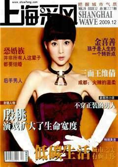 上海采风月刊2009年12期