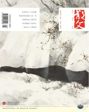 散文2019年1期