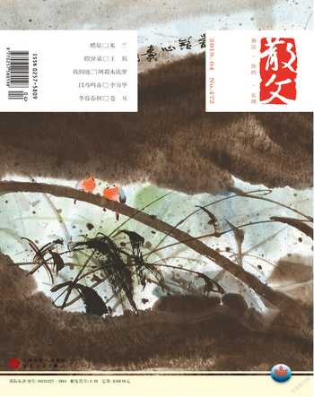散文2019年4期