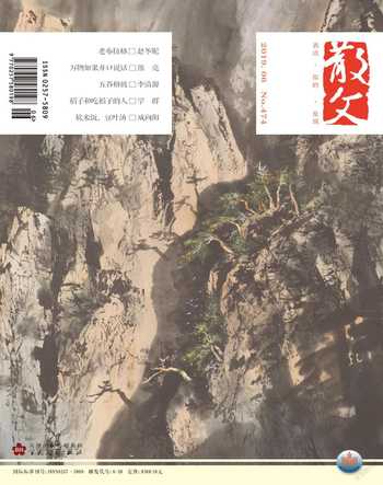 散文2019年6期