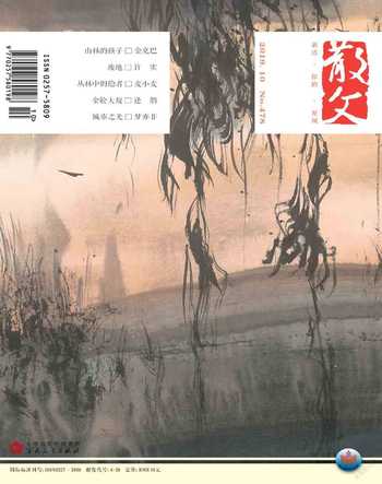 散文2019年10期