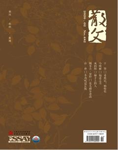 散文2020年2期