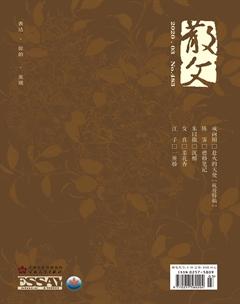 散文2020年3期