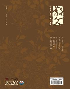 散文2020年6期