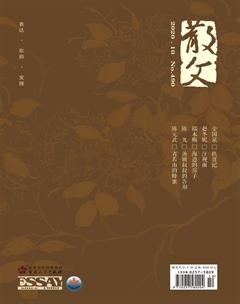散文2020年10期