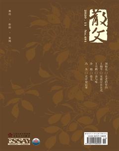 散文2020年11期