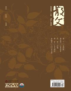 散文2020年12期