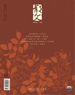 散文2021年8期