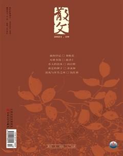散文2021年10期