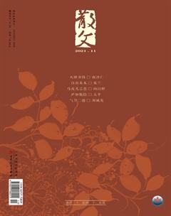 散文2021年11期