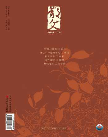 散文2021年12期