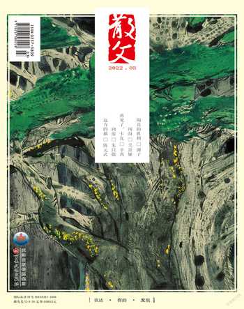 散文2022年3期