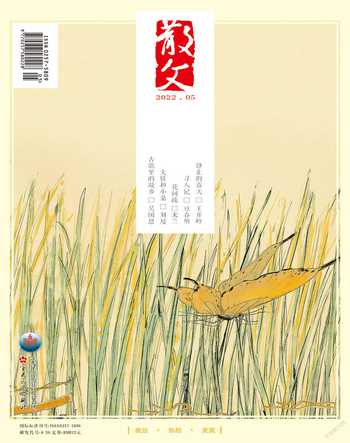 散文2022年5期