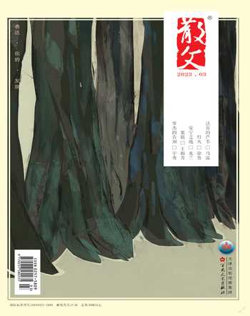 散文2023年3期