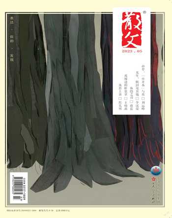 散文2023年5期