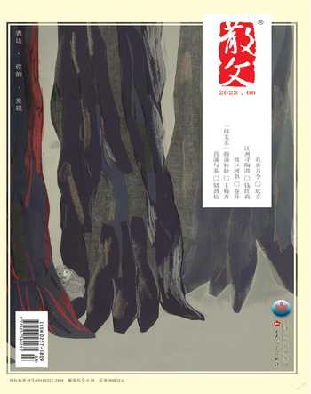 散文2023年6期