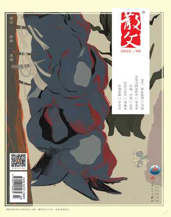 散文2023年8期