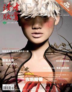 读者欣赏2013年1期