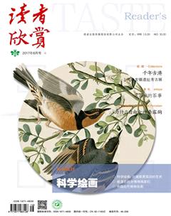 读者欣赏2017年6期