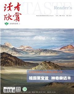 读者欣赏2018年6期