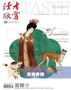 读者欣赏2021年4期