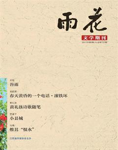 雨花2015年6期