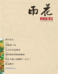 雨花2015年10期