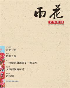 雨花2015年12期