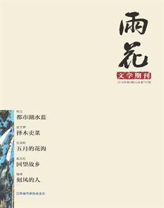 雨花2016年5期